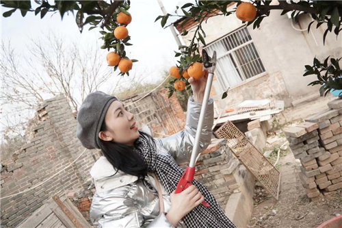 鄭楠.jpg 鄭楠.jpg