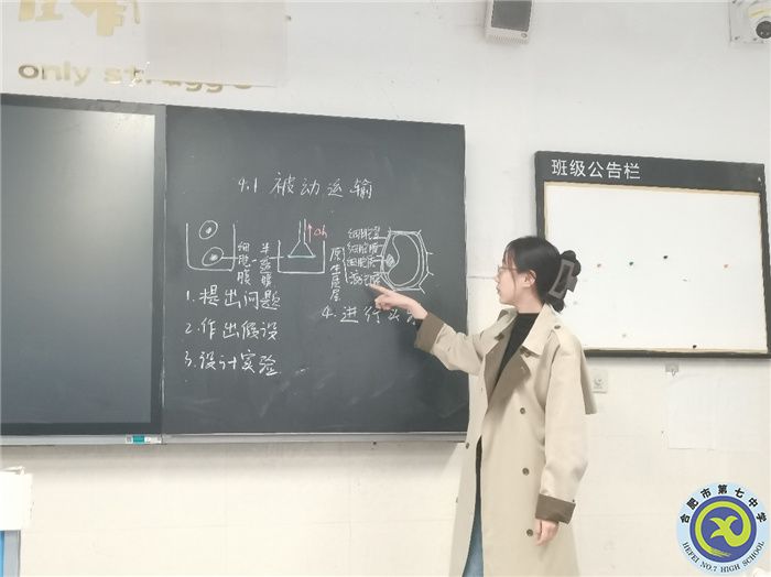 合肥七中高一實習生實習周記(圖2)