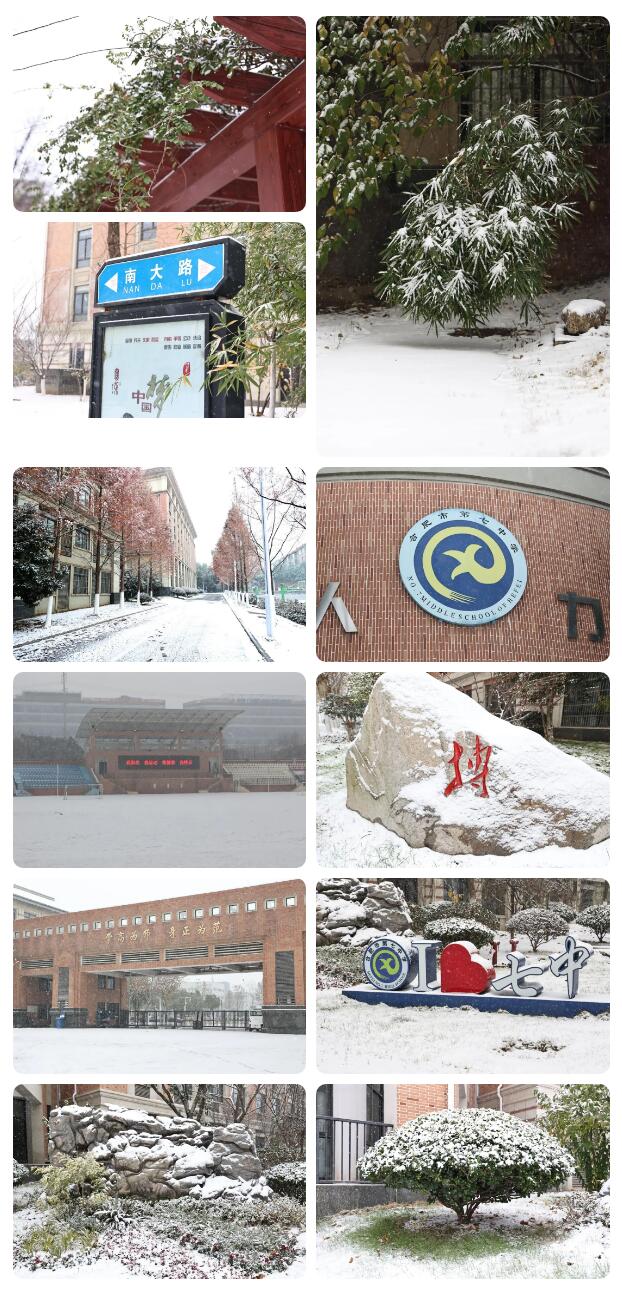 寶藏學(xué)校：每個(gè)人都期待，雪花所帶來的“活潑潑”的生命(圖5)