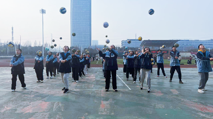 排球.png 排球.png