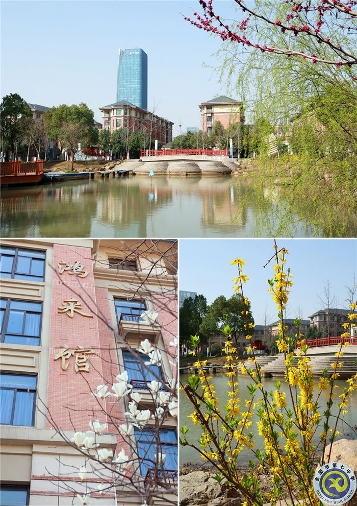 七中游，春日繽紛花滿頭(圖1)