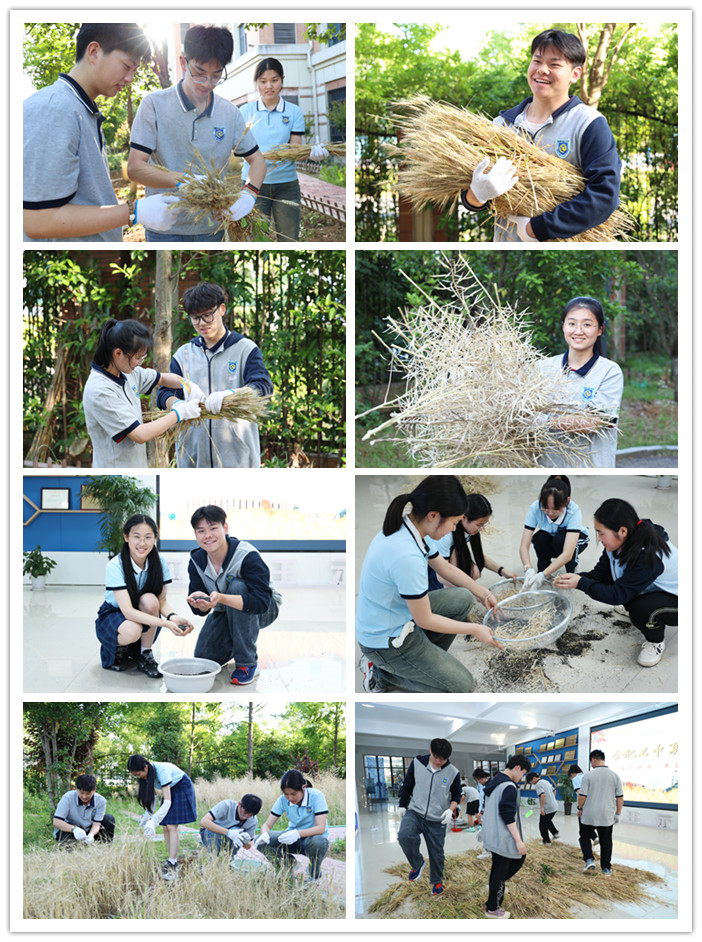 22_副本.jpg 22_副本.jpg