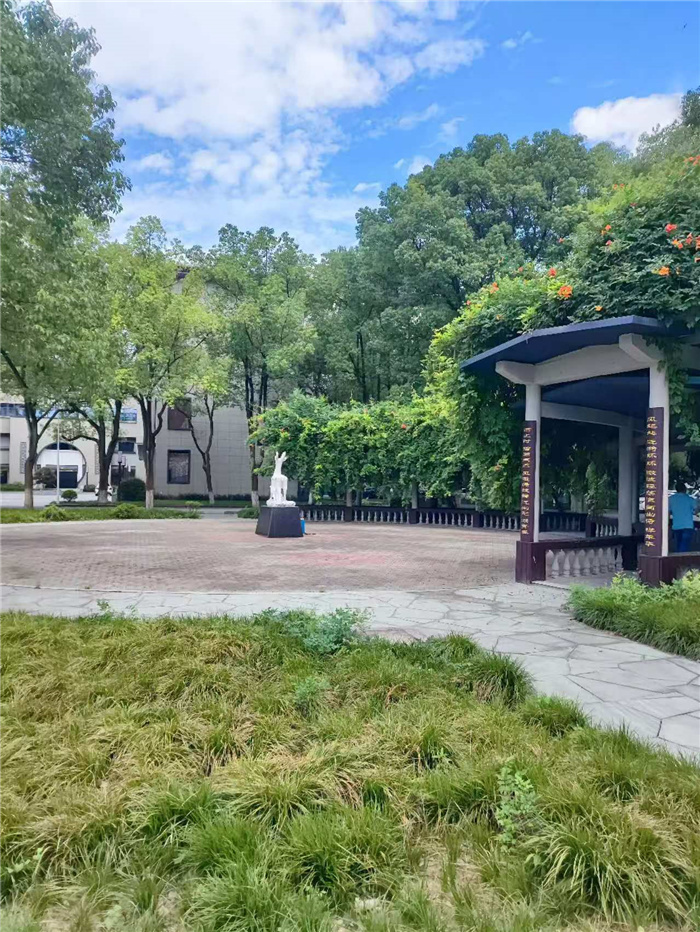 “主動融入長三角，合肥七中這樣做”之三：夯實“精細嚴實”，保障師生幸福平安(圖2)