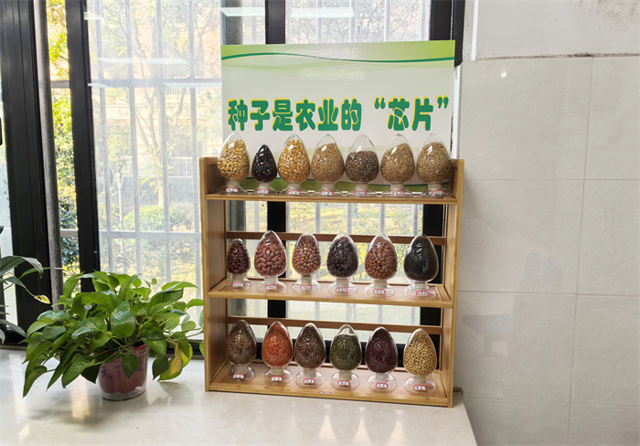 記合肥七中高二年級勞動教育實(shí)踐(圖1) 記合肥七中高二年級勞動教育實(shí)踐(圖1)