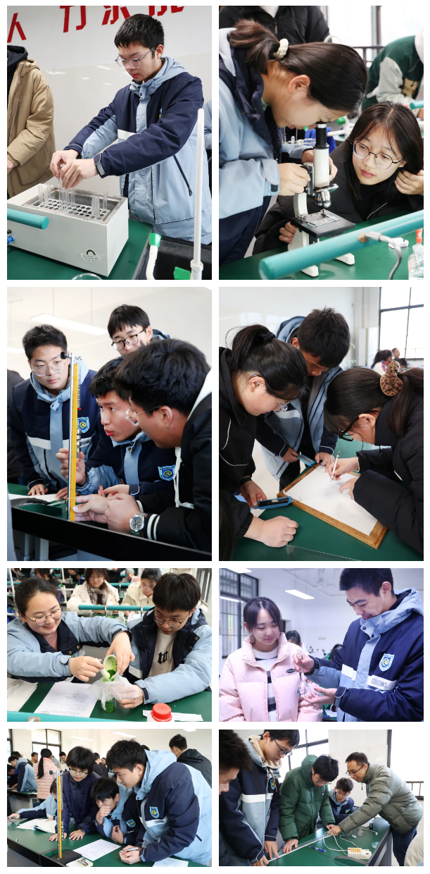 QQ截圖20241212155537.png QQ截圖20241212155537.png