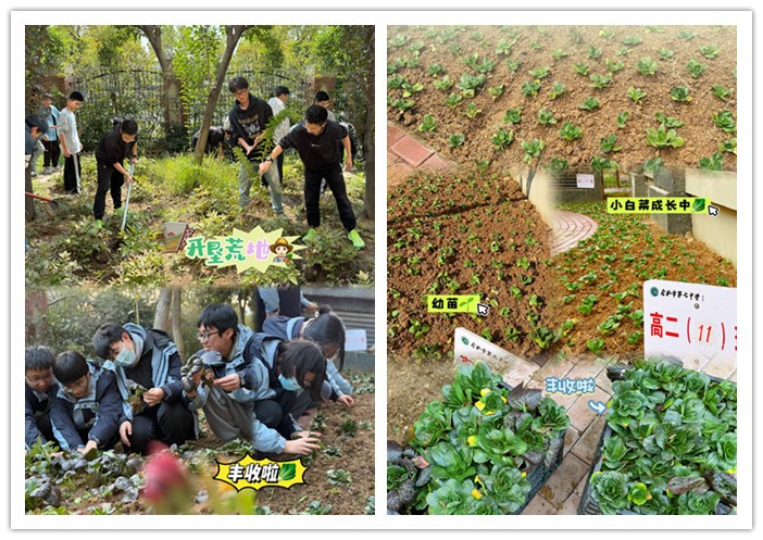 1_副本.jpg 1_副本.jpg