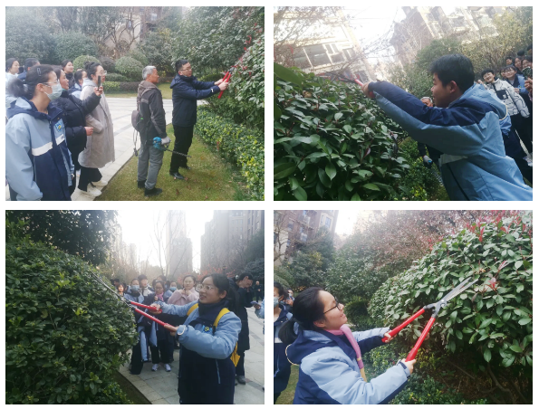 QQ截圖20250220110133.png QQ截圖20250220110133.png