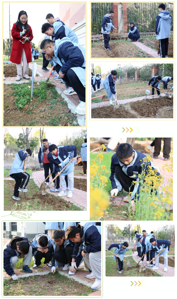 QQ截圖20250310102133.png QQ截圖20250310102133.png