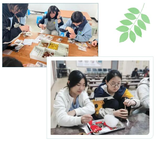 QQ截圖20250401100130.jpg QQ截圖20250401100130.jpg