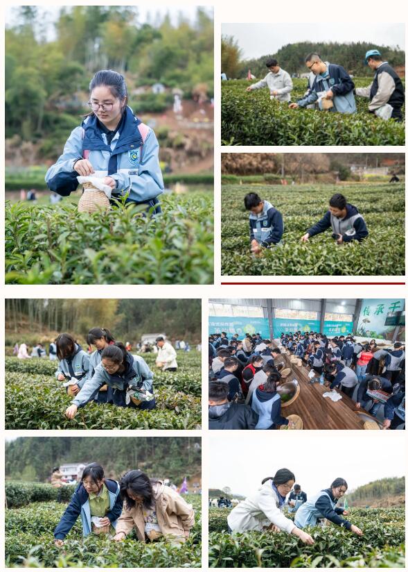 QQ截圖20250402101426.jpg QQ截圖20250402101426.jpg