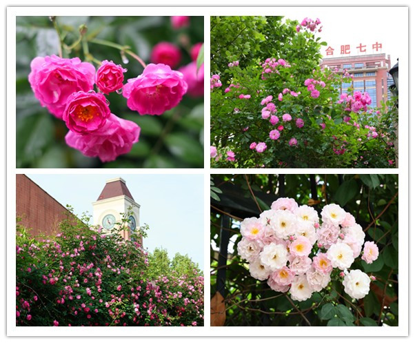 initpintu_副本.jpg initpintu_副本.jpg