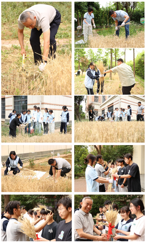 QQ截圖20250521150745.png QQ截圖20250521150745.png