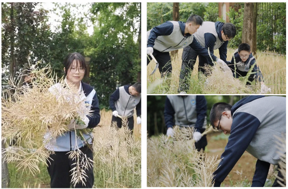 QQ截圖20250521150731.png QQ截圖20250521150731.png