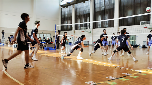 排球獲獎(jiǎng)5.png 排球獲獎(jiǎng)5.png