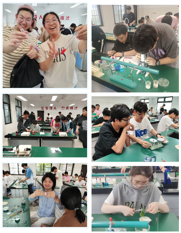 QQ截圖20250624091336.png QQ截圖20250624091336.png