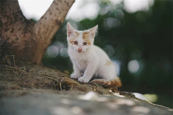 微信圖片_20250929154636_1661_186.jpg 微信圖片_20250929154636_1661_186.jpg