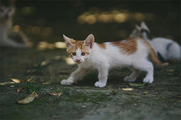 微信圖片_20250929154629_1654_186.jpg 微信圖片_20250929154629_1654_186.jpg