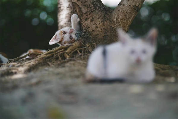 微信圖片_20250929154633_1658_186.jpg 微信圖片_20250929154633_1658_186.jpg