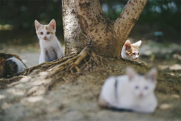 微信圖片_20250929154632_1657_186.jpg 微信圖片_20250929154632_1657_186.jpg