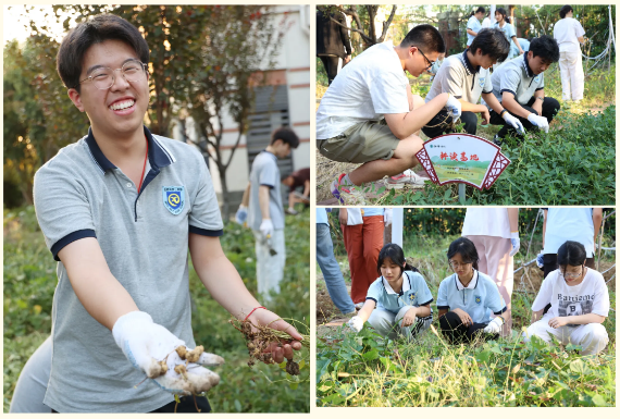 QQ截圖20251010152241.png QQ截圖20251010152241.png