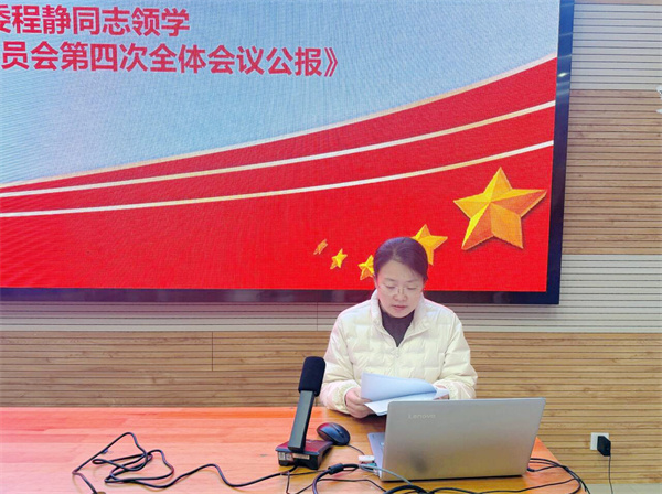 合肥七中第二黨支部召開全體黨員大會(圖2)