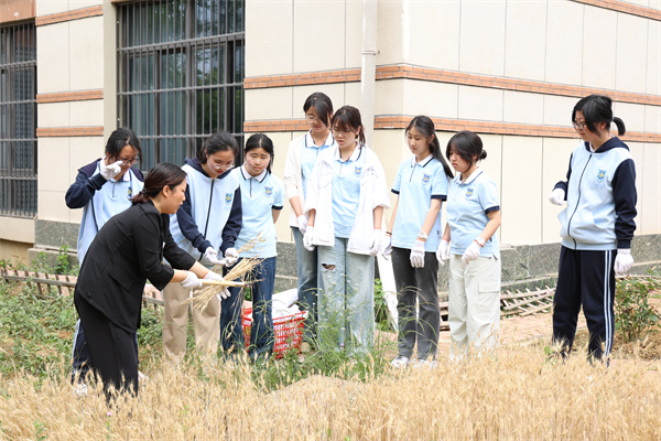 田間萬物生長時：合肥七中“耕讀教育”如何讓知識扎根大地(圖6)